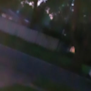 Meet your Posher, Maxine